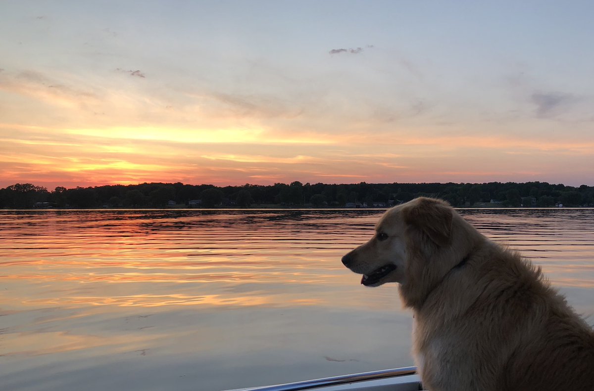 Cairine Wilson Secondary School tweet media