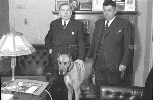 تويتر \ Francisco D. Salvo على تويتر: &quot;Don Arturo Alessandri Palma posando con su perro Ulk en 1940. Fuente Museo Histórico Nacional. https://t.co/7b5K6JzFYV&quot;