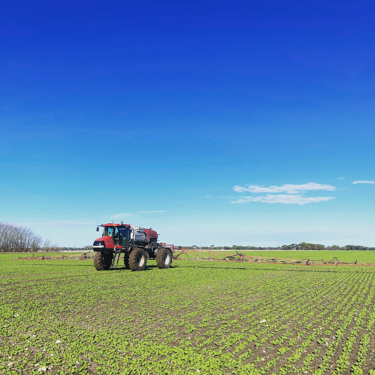 After weeks of frost, rain and wind finally able to get the sprayer out to do some jobs before the next front of rain Tuesday night.