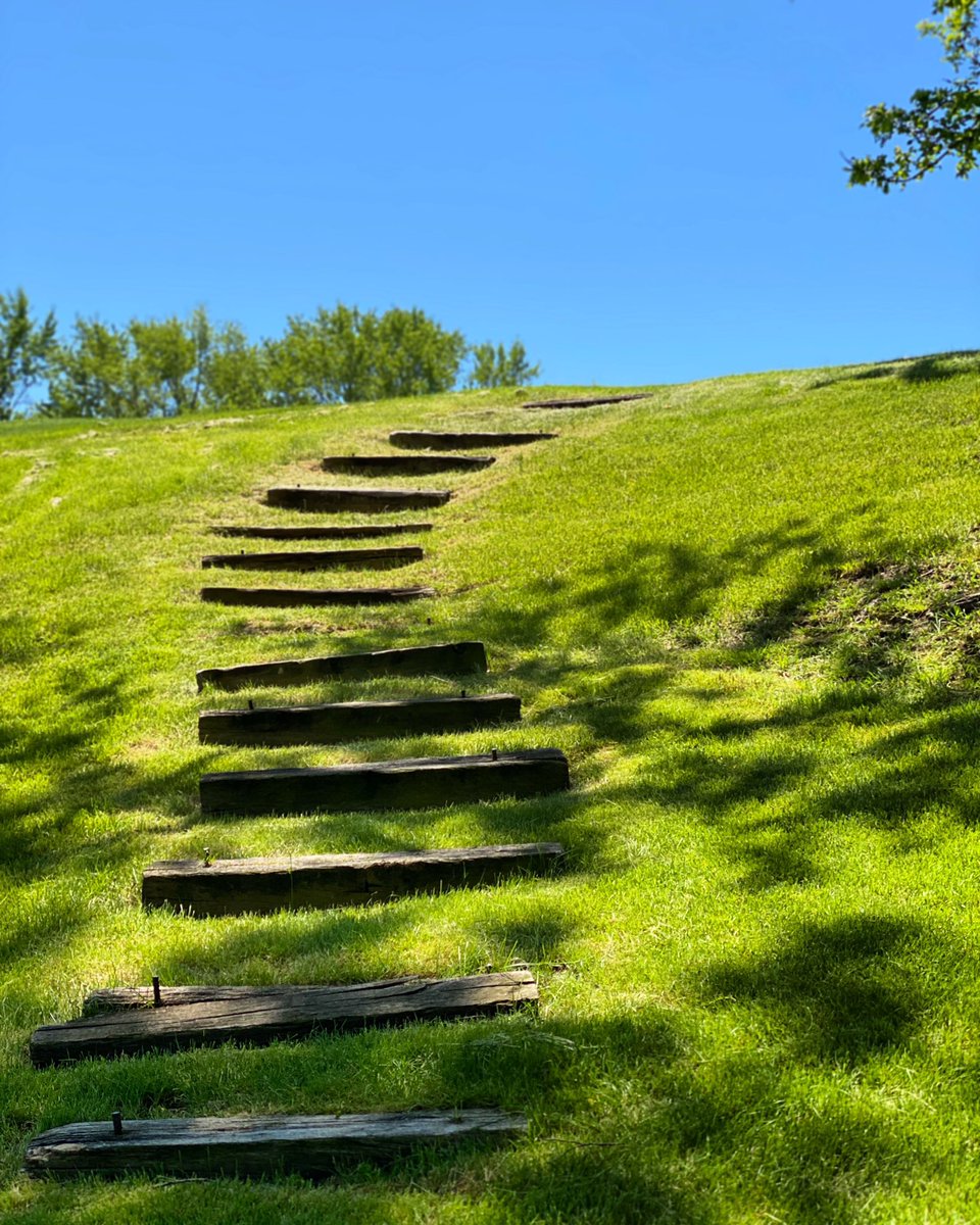 OFCC_1915's tweet photo. Caught this beauty on South this week. Do we have some #GolfStairs lovers out there? โณ๏ธ #SouthCourseSaturday #OlympiaFieldsCC https://t.co/yYF0ShcnI2