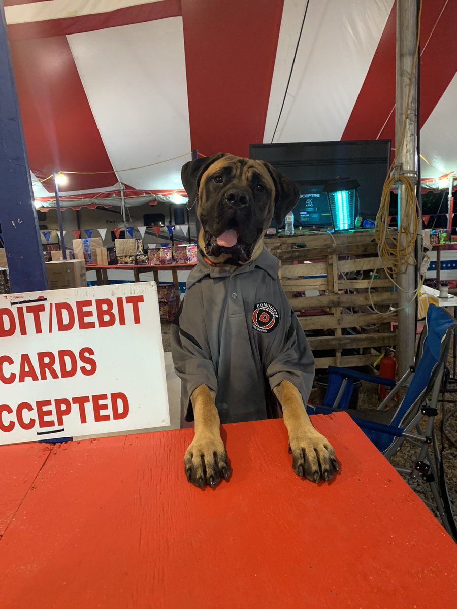 GrsslndFirework's tweet photo. Poppy Rose is dressed to sell some fireworks! Come check us out at 1100 Battlewood Street Franklin! https://t.co/wjjVhrJhXJ