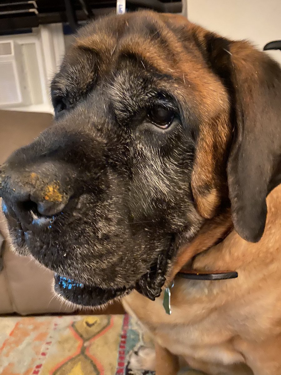 Guess what sports are back. Chiefs +12.5 verse crusaders at 11:30 on espn2. Taking the Chiefs thats’ my pumpkin nose lock of the week