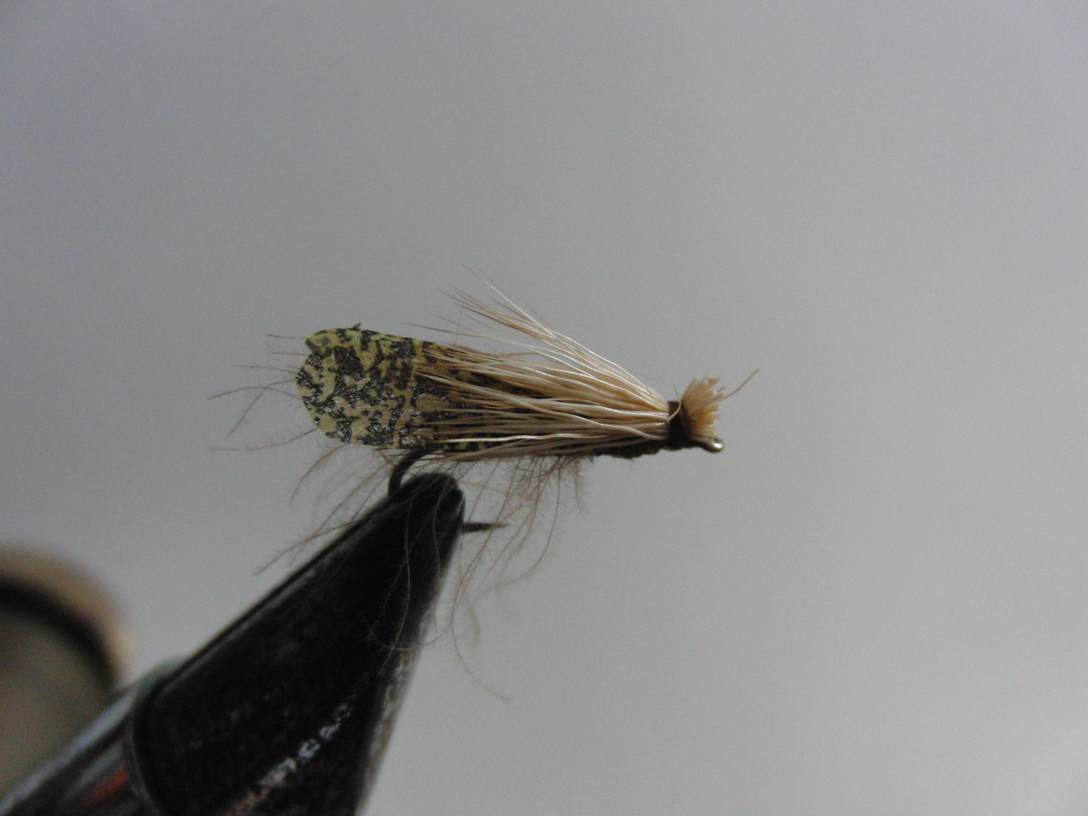 Caddis トビケラとフライフィッシング 【送料無料キャンペーン