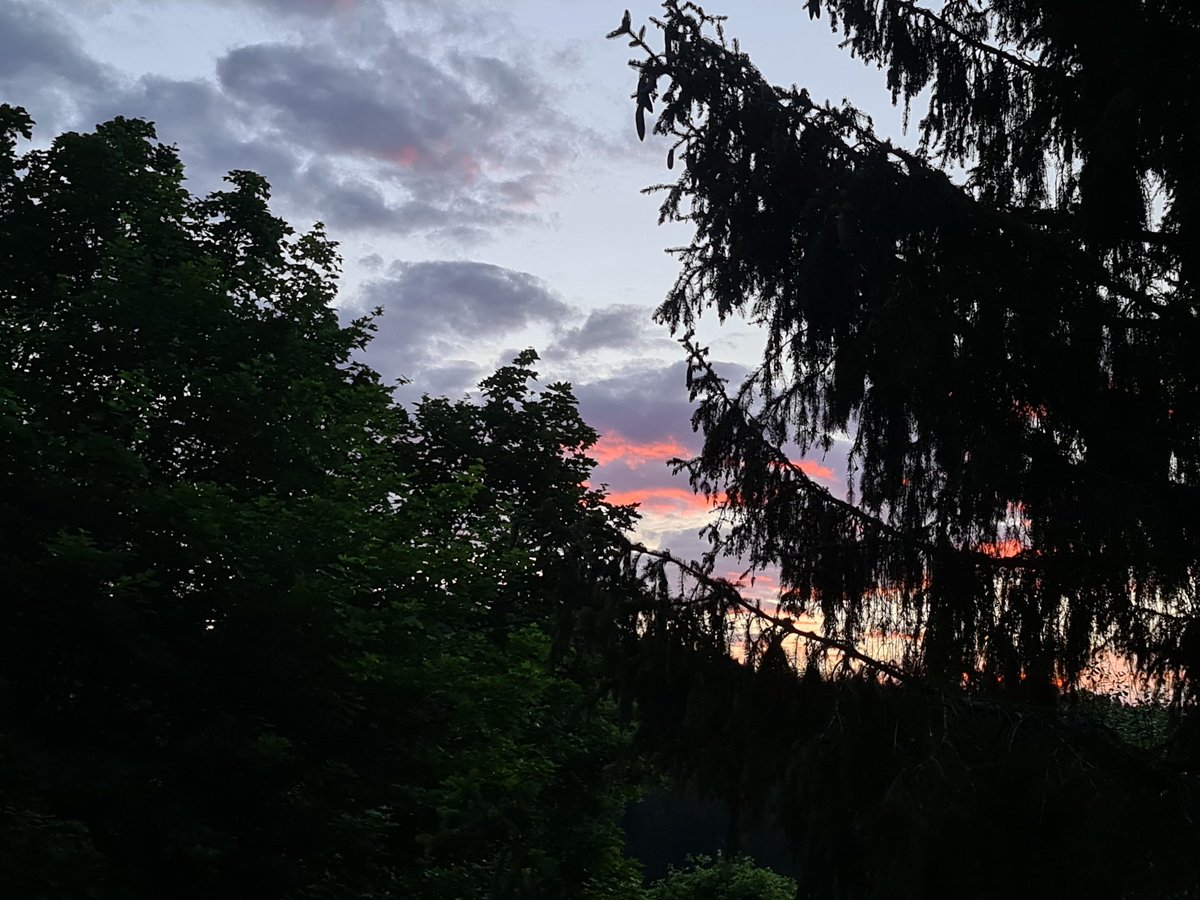 ixxim's tweet photo. So, da gibt es schon das Morgenrot... Also ab ins Bettchen. Ich wünsche Euch allen einen gemütlichen 🌞Tag.
#deckelzu und #twoff https://t.co/nxM0o1Rig4