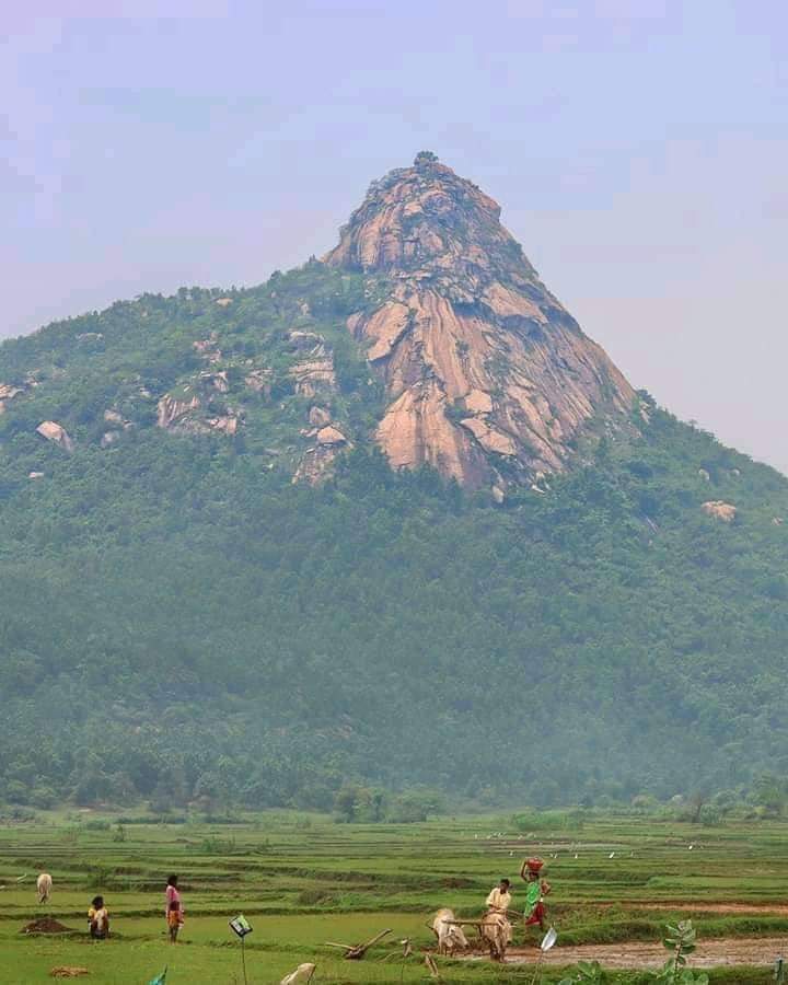 *#Jays 🏹*
*#जोहार_प्रकृति*🙏🌱🌾
जहाँ #आदिवासी रहता है, वहाँ दो चीजे आपको देखने को जरूर मिल जाती है, और वो है....
*#संस्कृति(#Culture) और #प्रकृति(#Nature)*

*जय आदिवासी*
🏹🏹🏹🏹🏹🏹