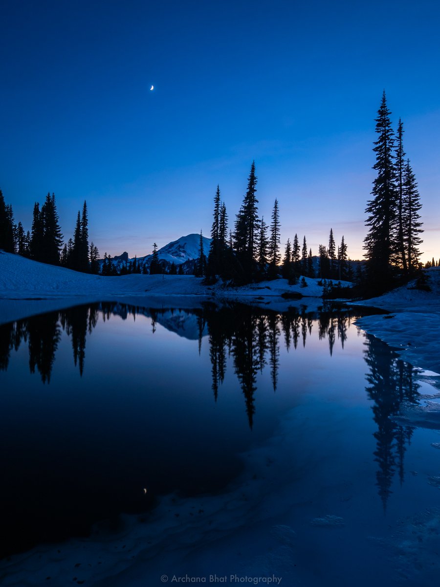 travelingbhat's tweet photo. A serene #bluehour view at #tipsoo #mtrainier
@VisitSeattle #komoLOZ @ScottSKOMO @KING5Seattle
@yourtake @ShannonODKOMO @Q13FOX
@KSeattleWeather @seattlepi @seattletimes @theevergrey
@MtRainierWatch @MountRainierNPS https://t.co/eREceHygJS