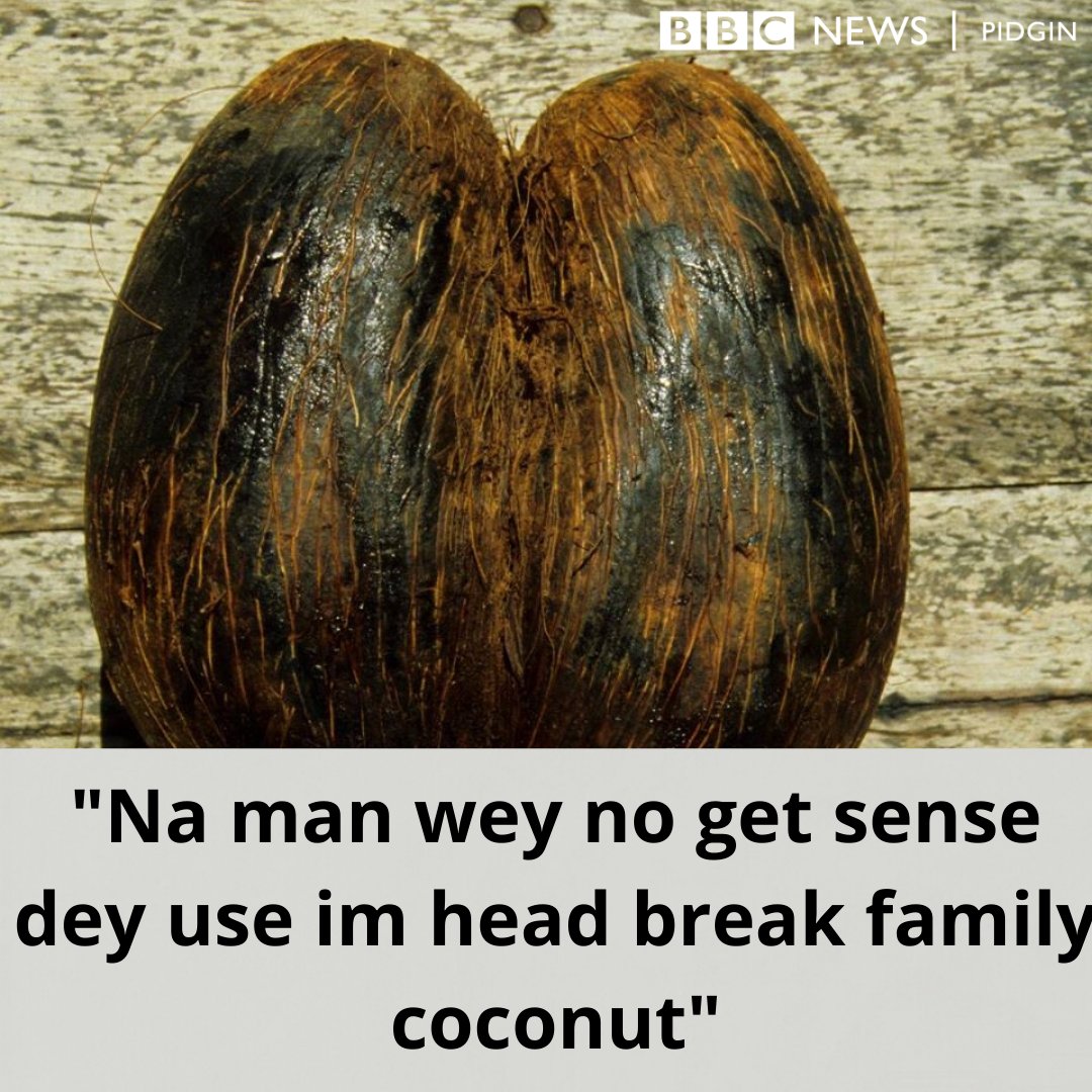 bbcnewspidgin's tweet photo. Good Morning!
Today Pidgin Proverb come from Okorhi David.

Abeg who sabi dia meaning enta comment section interprete di wise words from dis Sunday morning motivation &amp; wisdom.

#SundayMorning #SundayMotivation #SundayThoughts #SundayWisdom #PidginProverb #BBCPigin https://t.co/47o8HJupTh