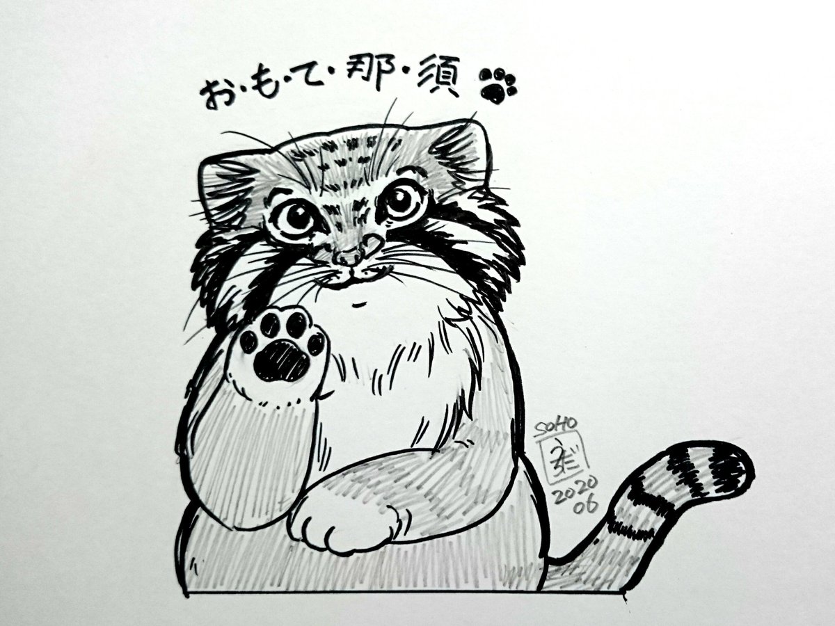 モフリシャス タヌーン 妄想マヌルイラスト いつか ポリーさんに おもて那須してもらえたら いいなぁ と妄想を膨らませて描いてしまった マヌルネコ Manul Pallascat 猫イラスト おもて那須 ポリー
