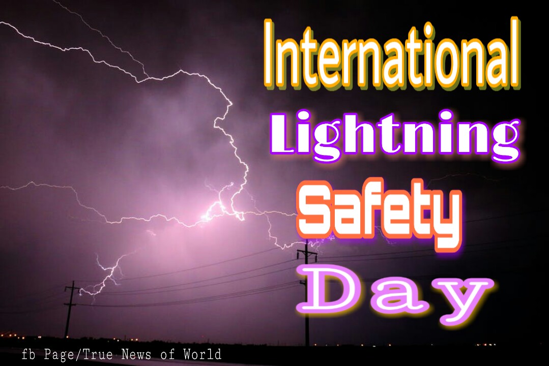 Who Knew??? GBO (Great Big Organization) Forum