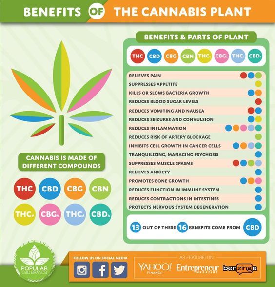 CBDLearningBase's tweet photo. In this #infographic, you'll discover the many benefits #cannabis plant can offer via @BrandsCbd. #marijuana #cbd https://t.co/DVFTr155Zk
