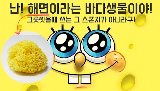 syennia's tweet photo. 스폰지밥을 처음봤던 어린시절때부터 n년간 스폰지밥이 당연히 스폰지인줄 알았는데....

뭔가 알수없는 배신감이ㅋㅋㅋㅋㅋ https://t.co/8OU78KogEq
