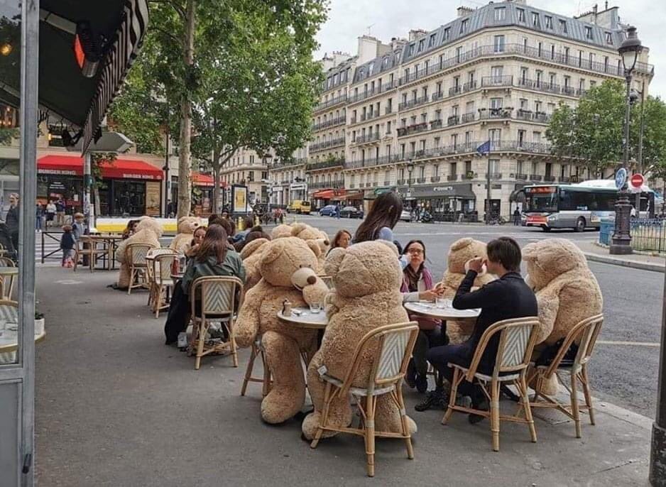 RandyResist's tweet photo. Parisian café using giant teddy bears to ensure social distancing. https://t.co/zMqi6JZgAB