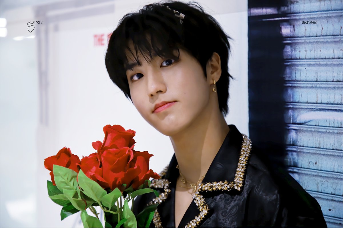 SKZ DIARY] HQ 200627 #ハン #HAN 『GO LIVE』 VIDEO CALL EVENT