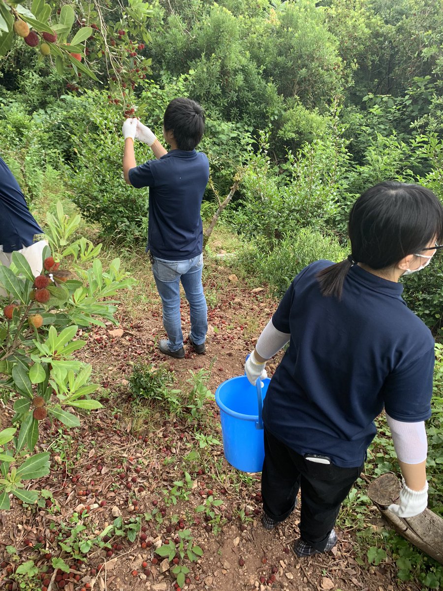 椿自然園 椿自然園