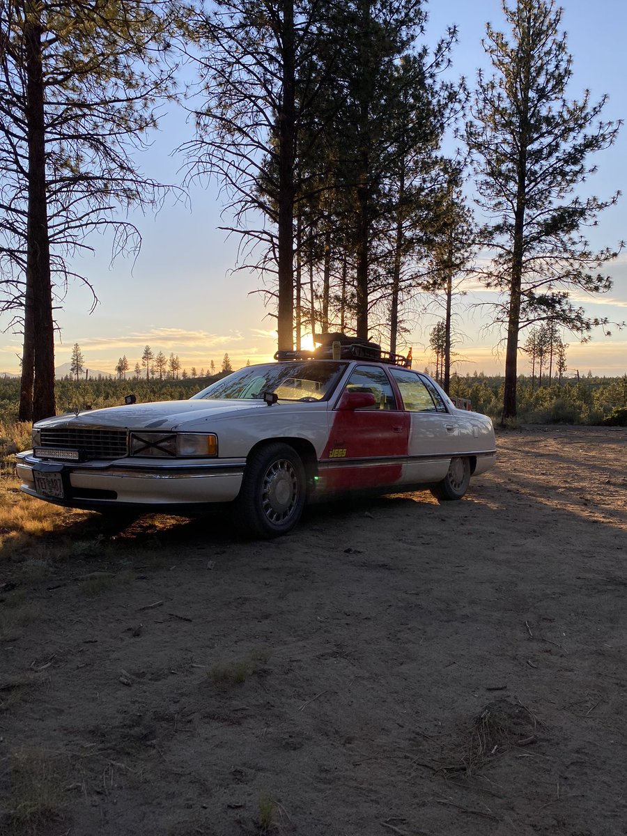 bionic_giraffe's tweet photo. here’s some pictures of my car adventure #gambler500 https://t.co/D3xBpO2Ez2