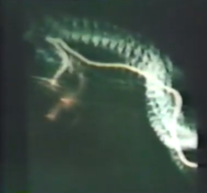 MetascienceITC's tweet photo. Bill O'Neil was a colleague of George Meek and the main operator of the Spiricom system. It was said that Bill had strong psychic abilities. One night while he was in his lab, his Polaroid camera went off on its own. The snakelike anomaly below appeared in the developed photo. https://t.co/FW8rK9iJtH