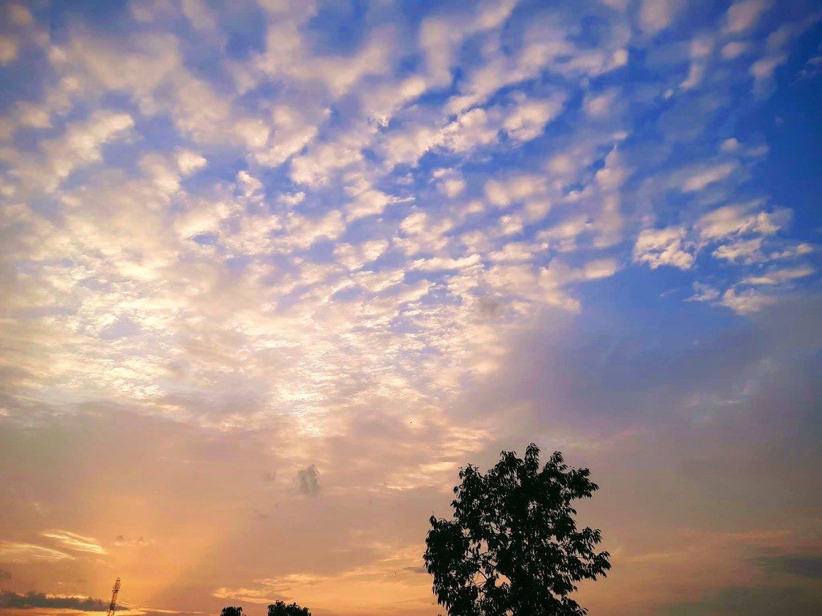 Deeksha Bhimte tweet media