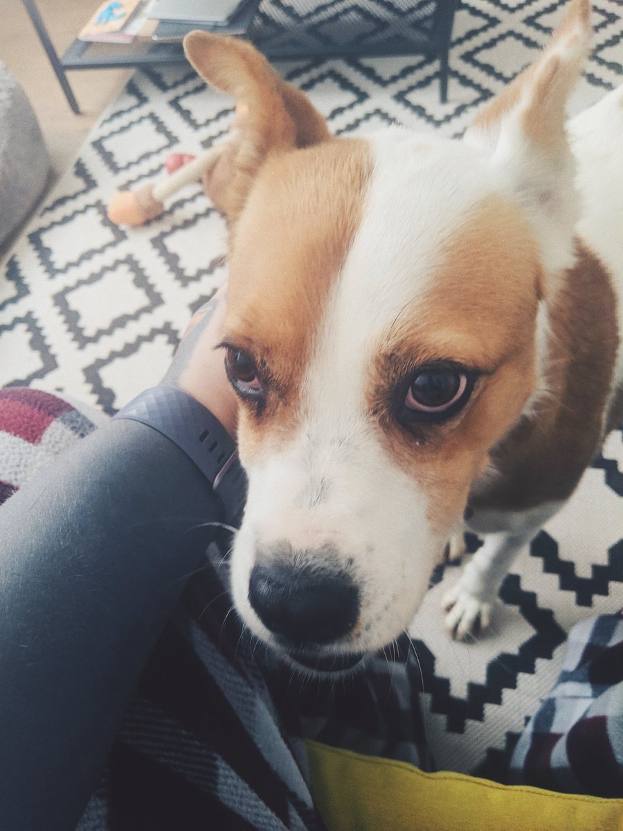 🦋scott.is tweet media