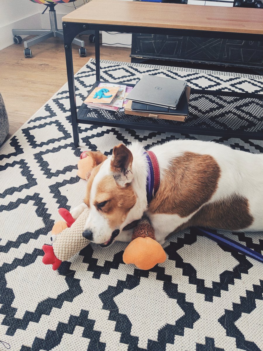 🦋scott.is tweet media