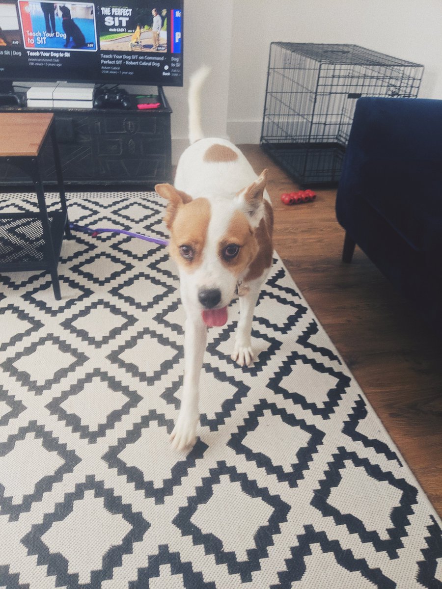 🦋scott.is tweet media