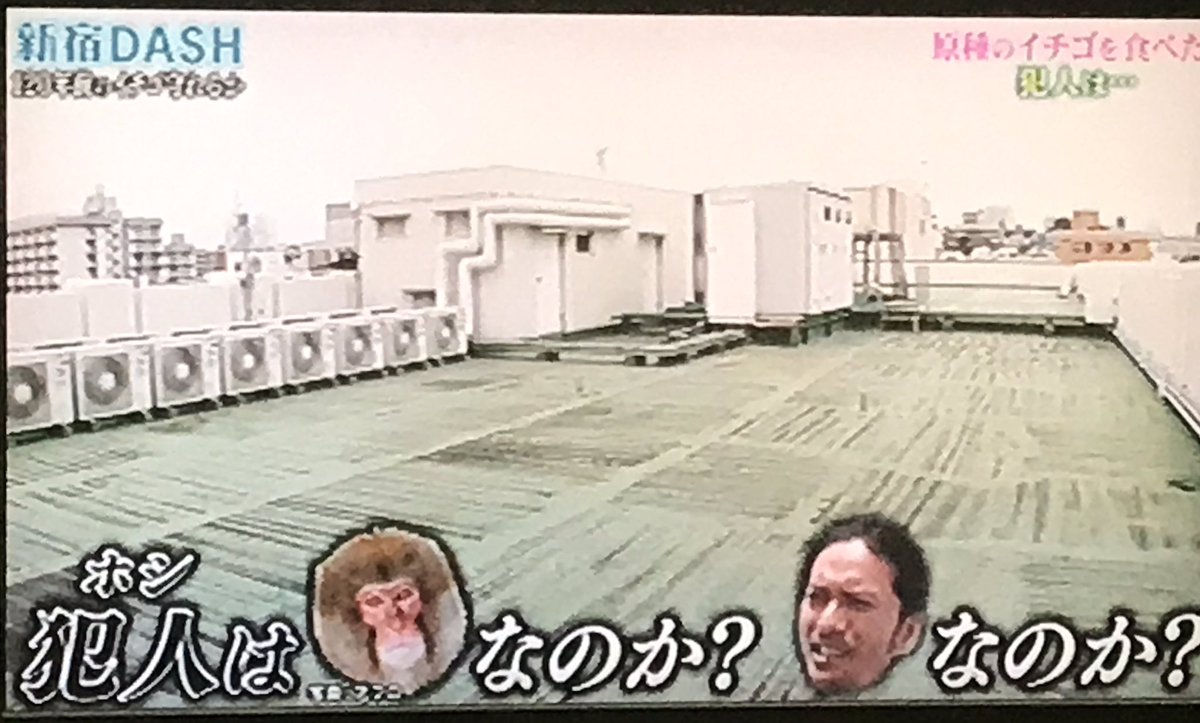 年6月28日 ザ 鉄腕 Dash で 長瀬 が話題に 13ページ目 トレンドアットtv