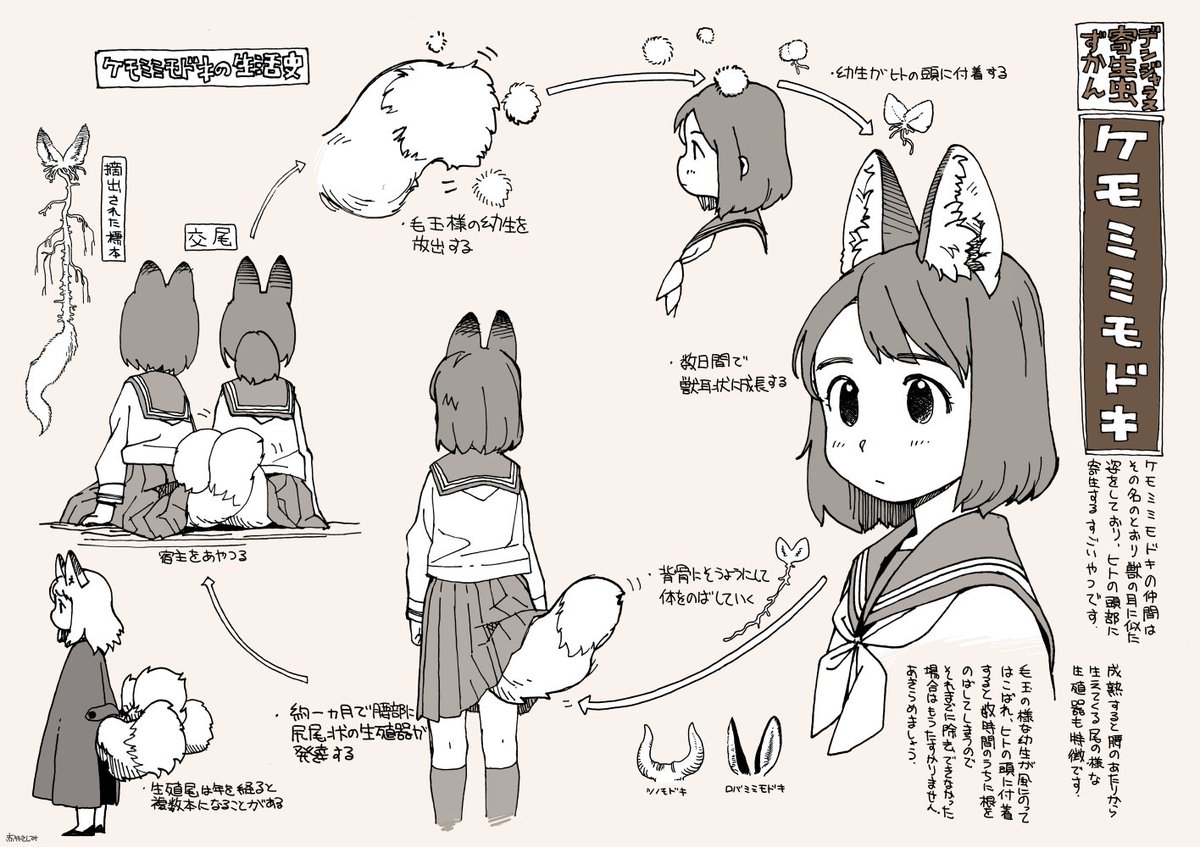 かわいいけど恐ろしい 寄生虫 ケモミミモドキ の生態が描かれたイラストに反応続々 宿主はどれくらい操られるのか これはガチ など Togetter