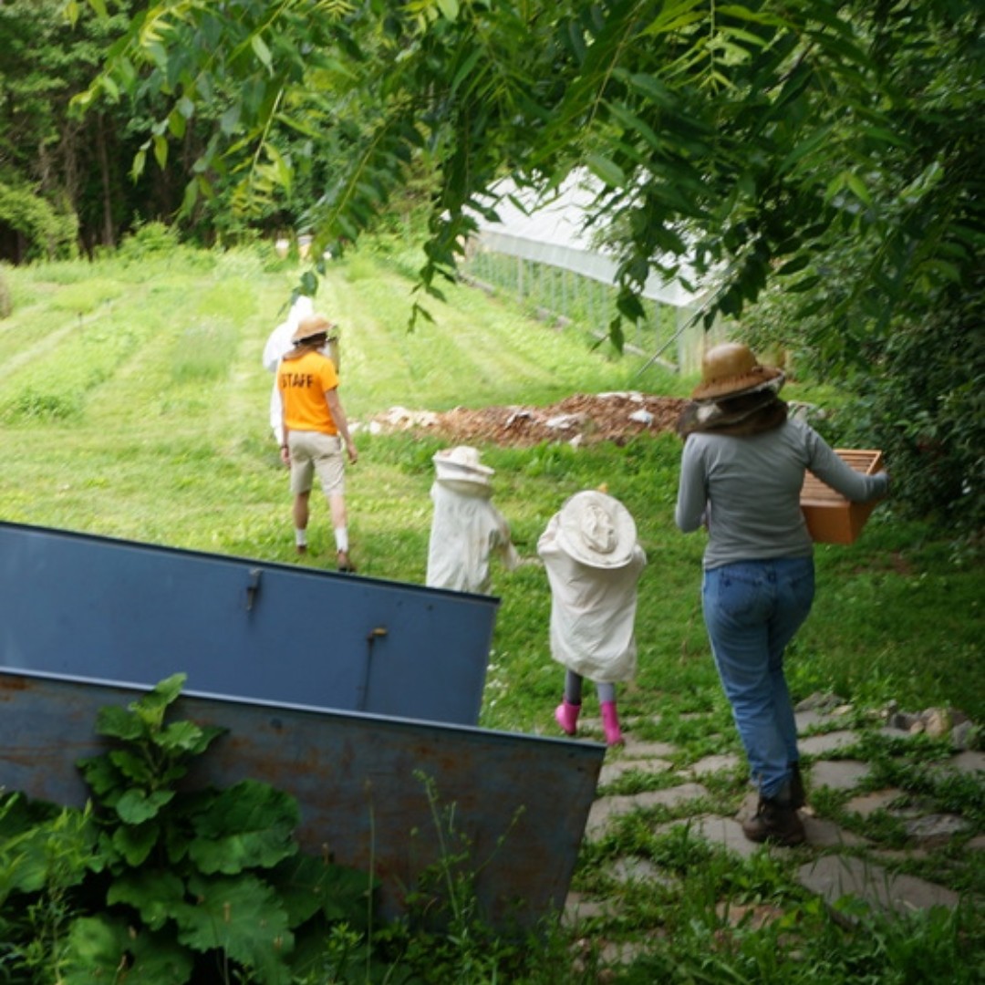 natickfarm's tweet photo. Our new hands-on outdoor summer programs cover everything from  collecting eggs to exploring our woods. One flat fee reserves a whole time slot for up to 6 people, all of your choosing. Here's your chance to bring Gramma or Grampa into the hen house...
https://t.co/eKhBobW7v1 https://t.co/miobA1X8Sc