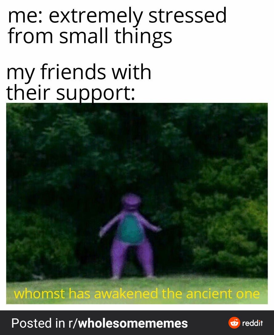 Reply with a wholesome meme. I'll start.