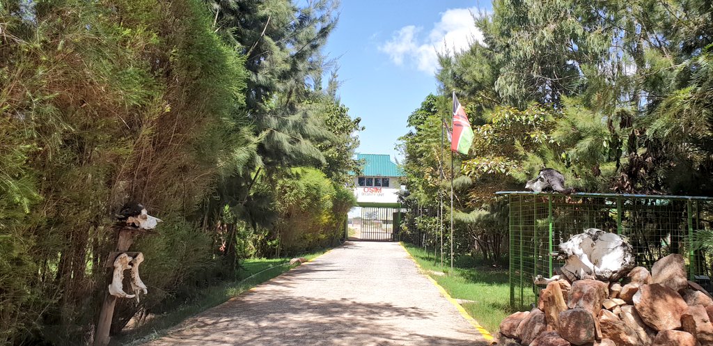 How do you do Maasai Mara on a budget? You leave Nairobi early and get to Osim Country Lodge just outside Narok Towm. They have rooms from 1500/~ (single) to 3,500 for a double incl breakfast.