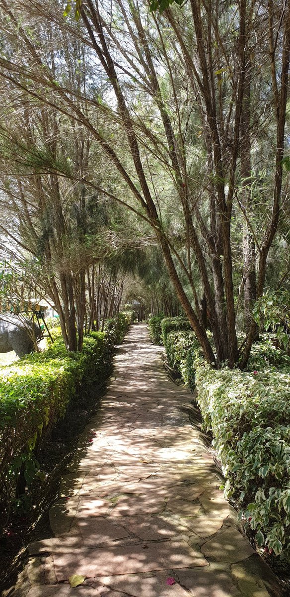 How do you do Maasai Mara on a budget? You leave Nairobi early and get to Osim Country Lodge just outside Narok Towm. They have rooms from 1500/~ (single) to 3,500 for a double incl breakfast.