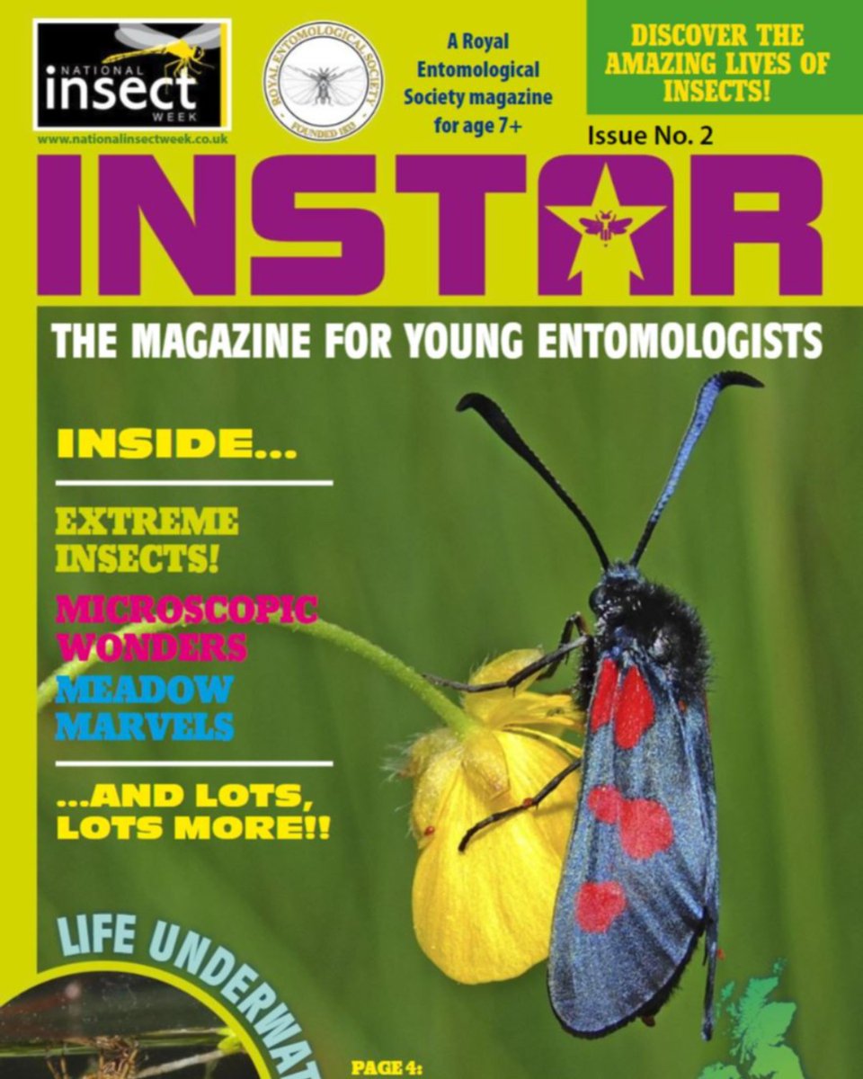 RoyEntSoc's tweet photo. INSTAR is our magazine for young people about #insects, you can read and download it:
https://t.co/DavgEVWfbX
#NIW2020 #EntoAtHome #likeinsects #littlethingsthatruntheworld #insects #entomology https://t.co/uxIt6IWTZJ