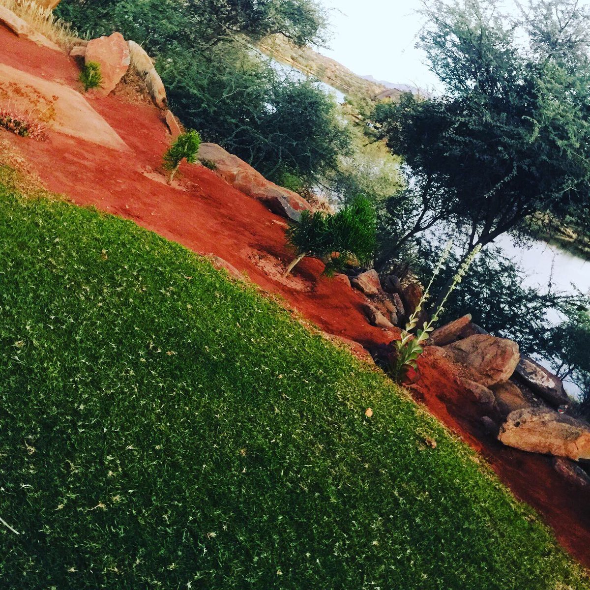 KamtonyoPDK tweet media