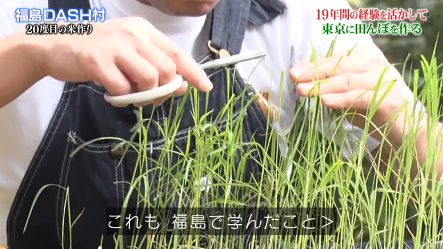 Tokioが園芸高校の畑を田んぼに作り替え度目の田植え 学校にとっても大変ありがたい 鉄腕dash 2ページ目 Togetter Tokioが園芸高校の畑を田んぼに作り替え度目の田植え 学校にとっても大変ありがたい 鉄腕dash 2ページ目 Togetter