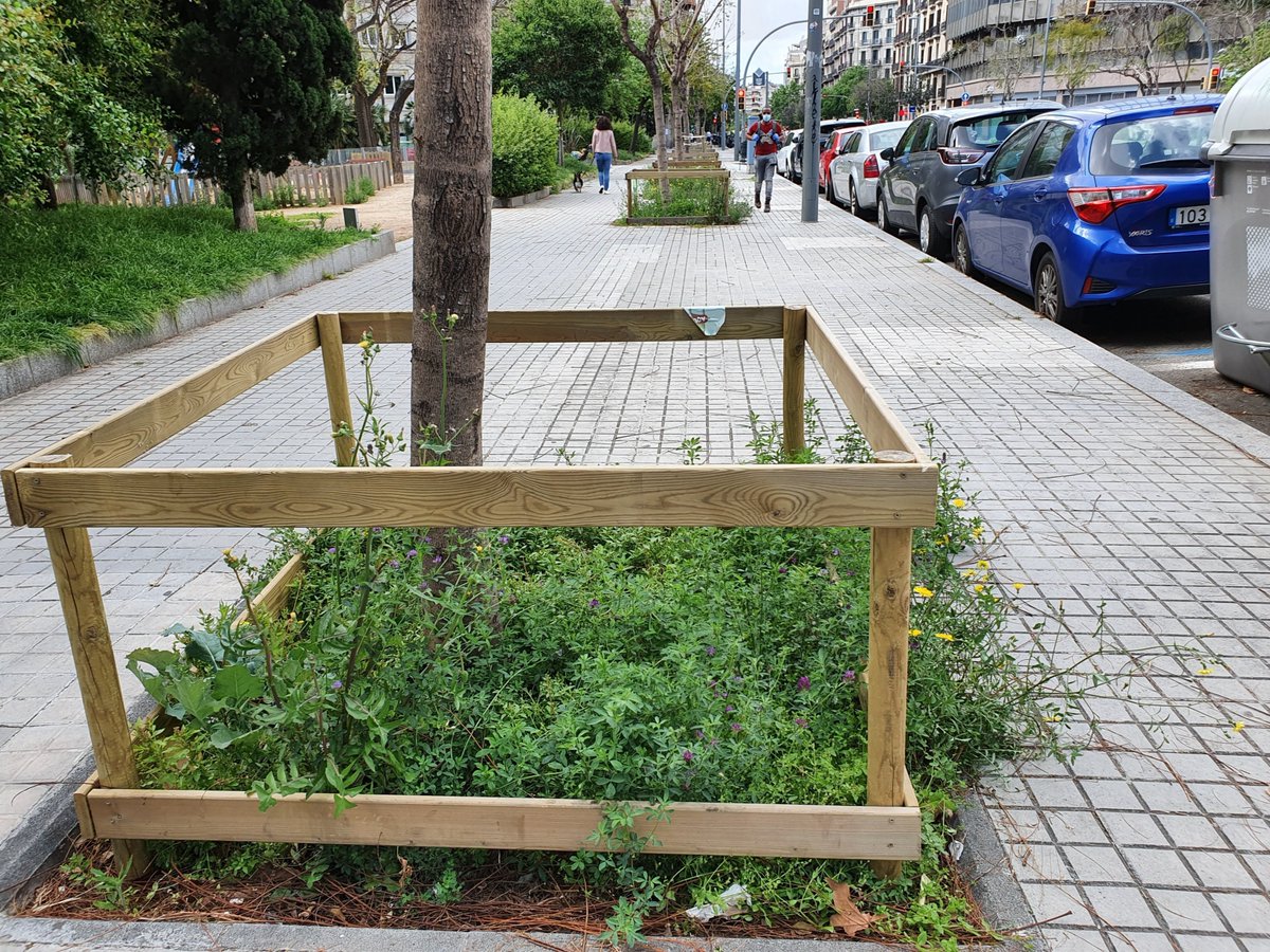 BCN_EspaiPublic's tweet photo. 💚 Naturalitzem la ciutat.

Entre les accions previstes, hi haurà:
👇🏻
🌺🐝  Un miler més d'escocells amb flors espontànies que tenen bons efectes pol·linitzadors i atreuen fauna beneficiosa per al control de les plagues dels arbres. #DonemPasAlVerd

ℹ️https://t.co/asA3rDyudb https://t.co/gLWrBg2r06