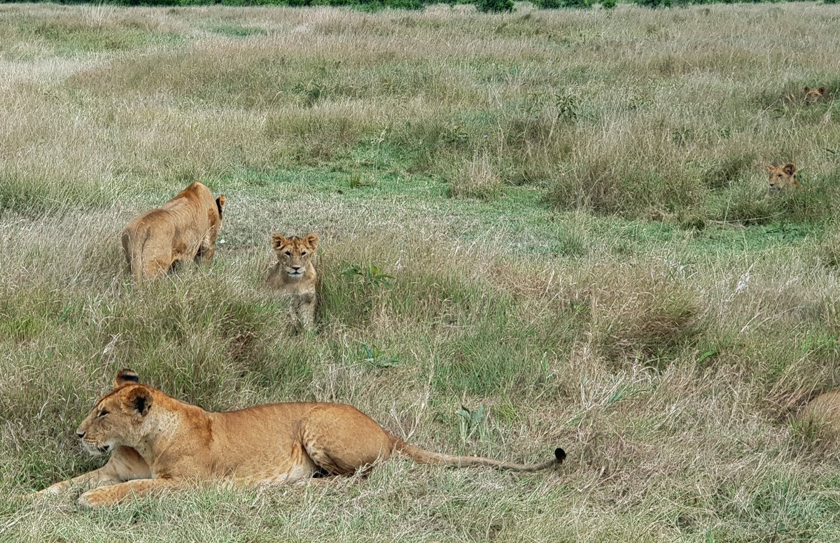 Come back with memories and awesome pics. Repeat.