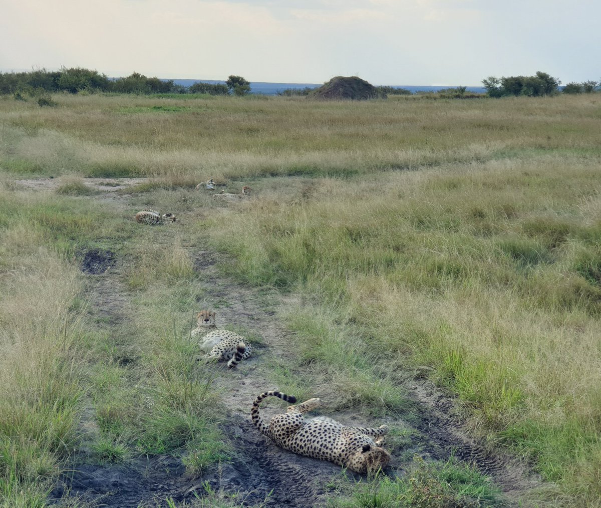 Come back with memories and awesome pics. Repeat.