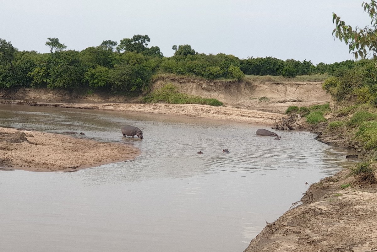 Come back with memories and awesome pics. Repeat.