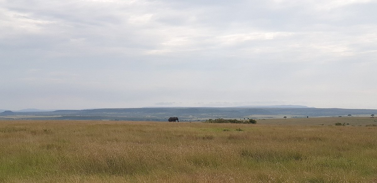 Come back with memories and awesome pics. Repeat.