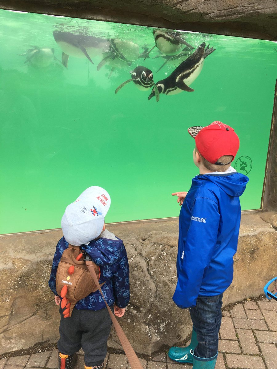 David Mallam tweet media