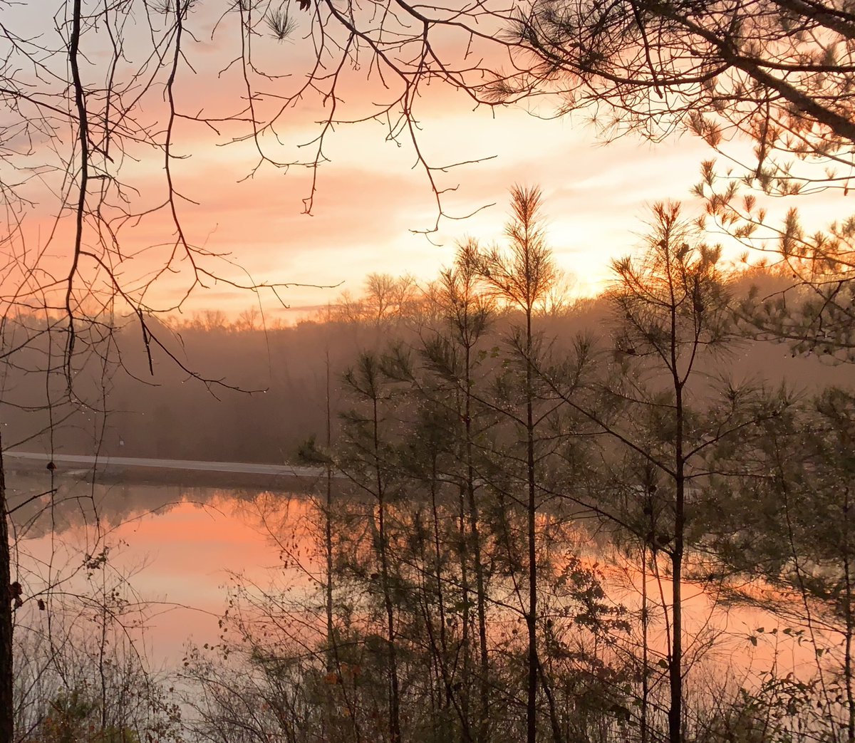 Rex Porter tweet media