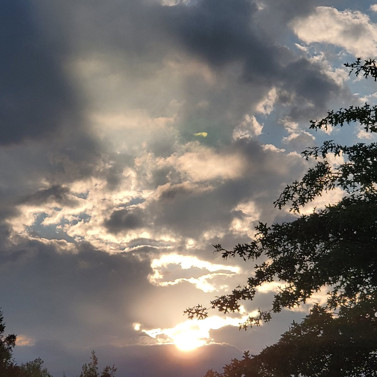 Elisabeth LEPERS tweet media