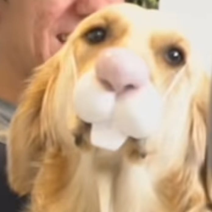 TheTempestMage's tweet image. #HappyBirthdayMarkiplier Thanks for you being you