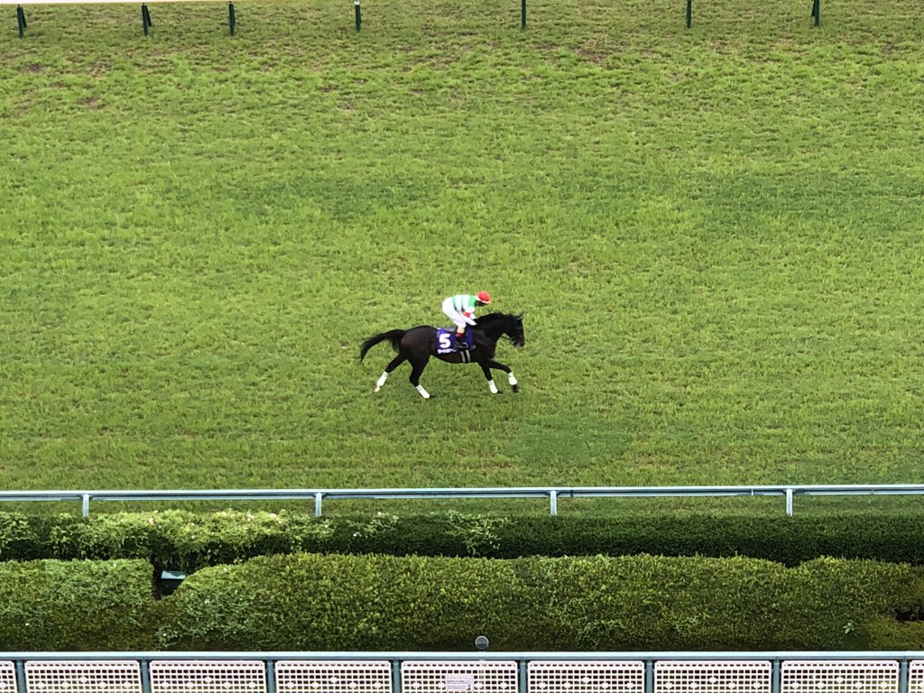 牟田雅直 競馬ブック クロノジェネシスの返し馬がとても良かったので同じくサートゥルナーリアとの２頭軸で買いました キセキもモズベッロも買っていましたが サートゥルナーリアが４着 今週も競馬の難しさを教えられてしまいました 夏競馬で頑張ります