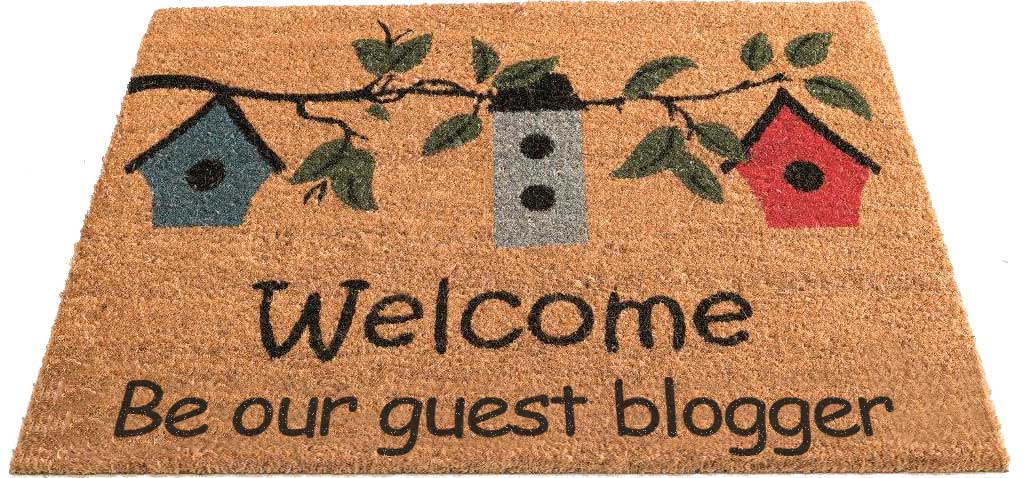 Share your knowledge with the world!
Become guest blogger with <a href="/newdelhisfdcdug/">New Delhi Salesforce Developer Group</a>
Just fill out this form with all the details, we will review your blog and post it!

pst.cr/g9zBp

#Salesforce
#newdelhisfdcdug