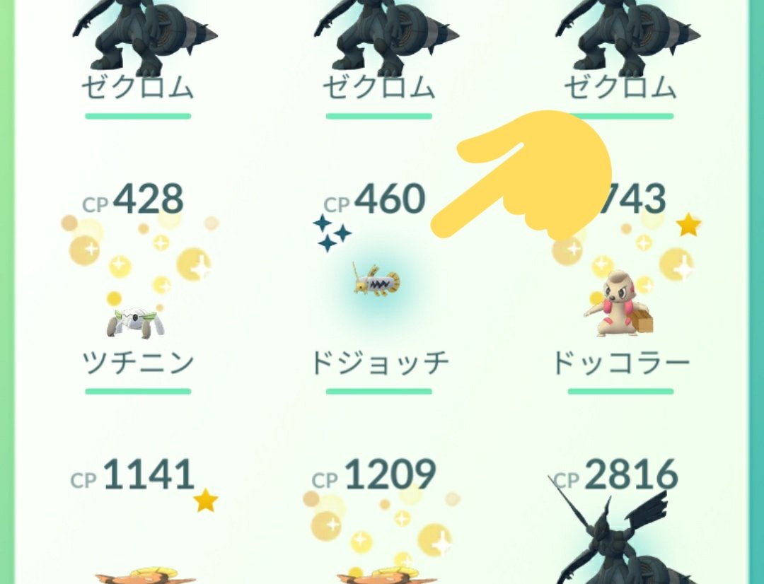 色違いドジョッチ