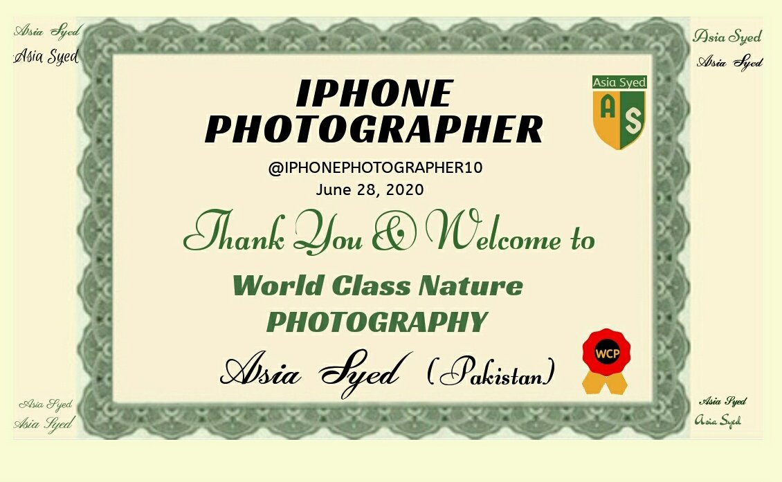 SyedNature's tweet photo. @IPHONEPHOTOGR10 https://t.co/gIJAs55EaC