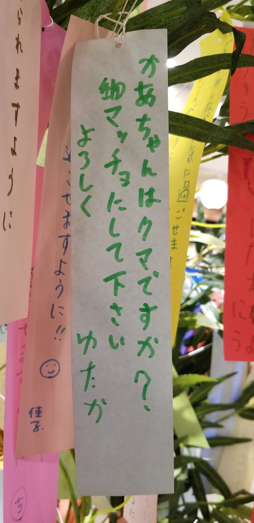 Mayuta ショッピングモールで七夕の笹にあった短冊が面白い コロナ関係や自分の願い事が多い中このお願い 笑 そもそも 質問してるし 笑 勝手に写真撮ってゴメンね でもほんとに癒されたしジワル 七夕 短冊 面白い T Co Gqfen22fqm Twitter