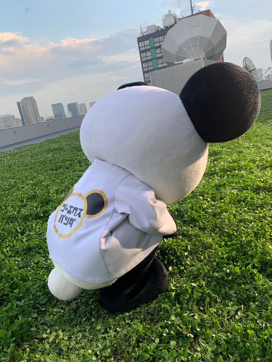 gochan_V's tweet photo. 四つ葉のクローバーを探しているブイ！
けっして「お外でフンバってる」わけではないブイ
#今日のおしり https://t.co/j0UGQohz2G