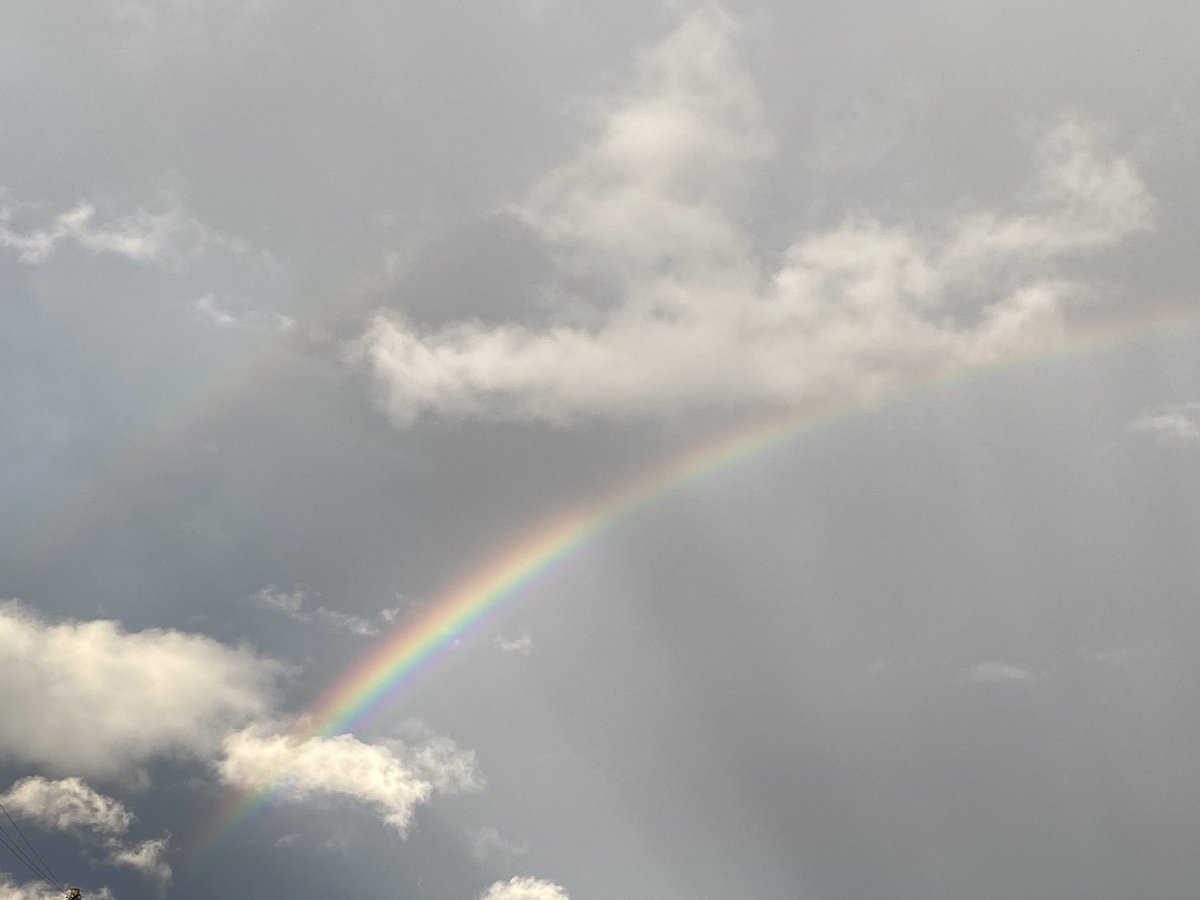 Bad Apples NE cic tweet media