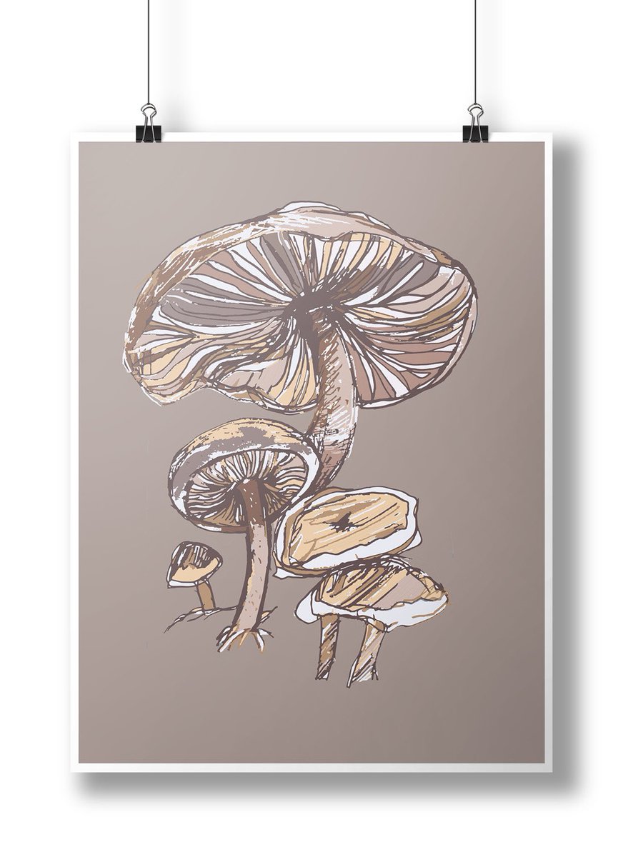 authentic_ness's tweet photo. I had so much fun with creating this Conifercone Cap Mushroom piece. This was created for a drawing contest by The Umstead Coalition. I really enjoy the cottagecore vibes I get from this poster design.
#illustrator #postermockup #graphicdesign #mushroomart #web214 https://t.co/1f41GujAtH